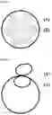 Fig. 04 - EDIBLE NUTRITION SYSTEM, METHOD OF PREPARATION AND USE THEREOF
