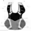 Fig. 01 - Chest protector