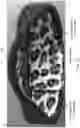 Fig. 26 - HEADGEAR COMPRISING HEADBANDS FOR RECEIVING REMOVABLE LIGHT APPARATUS AND METHODS OF MAKING