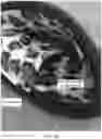 Fig. 28 - HEADGEAR COMPRISING HEADBANDS FOR RECEIVING REMOVABLE LIGHT APPARATUS AND METHODS OF MAKING