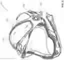 Fig. 06 - Helmet, mounting system for a helmet and method of using same