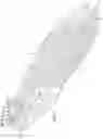 Fig. 02 - Flow Insole