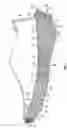 Fig. 03 - Sole structure for an article of footwear with first and second midsole bodies
