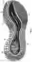 Fig. 09 - Sole structure for an article of footwear with first and second midsole bodies