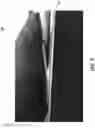 Fig. 07 - MULTI-PART SOLE AND HEEL ASSEMBLY