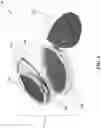 Fig. 02 - COSMETIC BLOTTING TOOL AND CONTAINER SYSTEM AND METHOD