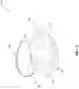 Fig. 06 - COSMETIC BLOTTING TOOL AND CONTAINER SYSTEM AND METHOD