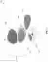 Fig. 08 - COSMETIC BLOTTING TOOL AND CONTAINER SYSTEM AND METHOD