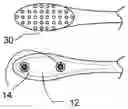Fig. 01 - Attachable and detachable head for a toothbrush
