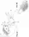Fig. 03 - Attachable and detachable head for a toothbrush