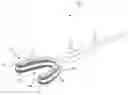 Fig. 01 - Smart toothbrush
