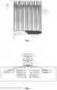 Fig. 02 - Method of bundling bristles to be used in paint brushes, a paint brush head comprising a plurality of bristles and a paint brush comprising a plurality of bristles and/or a paint brush head