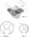 Fig. 07 - Travel tray and container system