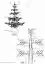 Fig. 02 - QUICK ASSEMBLE ARTIFICIAL CHRISTMAS TREE
