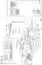 Fig. 02 - CONTROL APPARATUS FOR MEDICAL SYSTEM, CONTROL METHOD FOR MEDICAL SYSTEM, AND MEDICAL SYSTEM