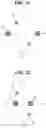 Fig. 08 - ENDOSCOPE BENDING PORTION, ENDOSCOPE INSERTION PORTION AND ENDOSCOPE