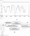 Fig. 02 - METHOD AND APPARATUS FOR MEASURING BIO-SIGNAL USING RADAR