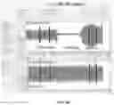 Fig. 07 - Apparatus, system and method for obtaining hemodynamic data of an individual