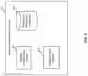 Fig. 06 - Autonomous diagnosis of ear diseases from biomarker data