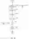 Fig. 05 - Vascular path editing using energy function minimization