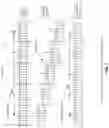 Fig. 06 - AI-based rendered volume auto-correction for fixed and mobile x-ray imaging modalities and other imaging modalities