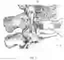 Fig. 02 - Modular ultrasound apparatus and methods