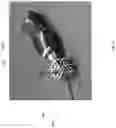 Fig. 07 - METHODS AND APPARATUSES FOR GUIDING COLLECTION OF ULTRASOUND DATA USING MOTION AND/OR ORIENTATION DATA