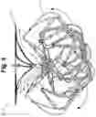 Fig. 06 - Uncoupled LAA device