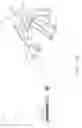 Fig. 41 - Surgical instrument having a feedback system