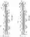 Fig. 137 - Surgical end effectors with staple cartridges