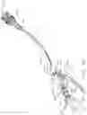 Fig. 55 - Surgical end effectors with staple cartridges