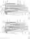 Fig. 96 - Surgical end effectors with staple cartridges