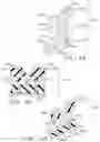Fig. 32 - END EFFECTOR FOR USE WITH A SURGICAL FASTENING INSTRUMENT
