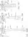 Fig. 80 - END EFFECTOR FOR USE WITH A SURGICAL FASTENING INSTRUMENT