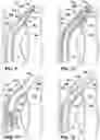 Fig. 08 - Systems and methods for vascular access