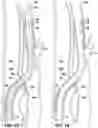Fig. 09 - Systems and methods for vascular access