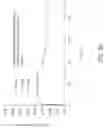 Fig. 40 - Torque-limiting screwdriver devices, systems, and methods