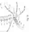 Fig. 14 - UNIPOLAR REFERENCE ELECTRODE FOR ELECTROPHYSIOLOGY MAPPING CATHETER