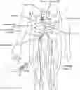 Fig. 01 - Methods for treating patients with catheter-based renal neuromodulation
