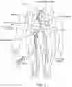 Fig. 06 - Methods for treating patients with catheter-based renal neuromodulation