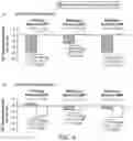 Fig. 11 - Methods for treating patients with catheter-based renal neuromodulation