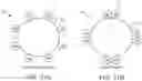 Fig. 13 - Steerable catheter with shaft load distributions
