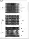 Fig. 05 - Biological tissue rootage face, implant, method for forming biological tissue rootage face, and method for producing implant