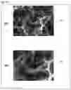 Fig. 15 - Biological tissue rootage face, implant, method for forming biological tissue rootage face, and method for producing implant