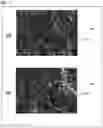 Fig. 18 - Biological tissue rootage face, implant, method for forming biological tissue rootage face, and method for producing implant