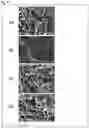 Fig. 20 - Biological tissue rootage face, implant, method for forming biological tissue rootage face, and method for producing implant