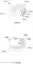 Fig. 11 - Method for making a set of dentures