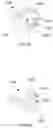 Fig. 16 - Method for making a set of dentures