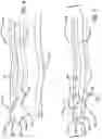 Fig. 03 - SALIVA EJECTOR APPLIANCE