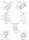Fig. 06 - ELECTRICAL BODY CARE BRUSH